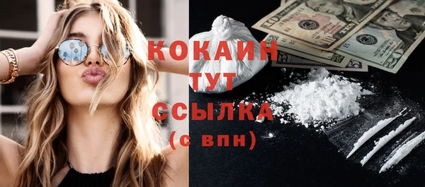 дживик Осинники