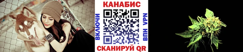 Каннабис сатива как найти закладки Тосно